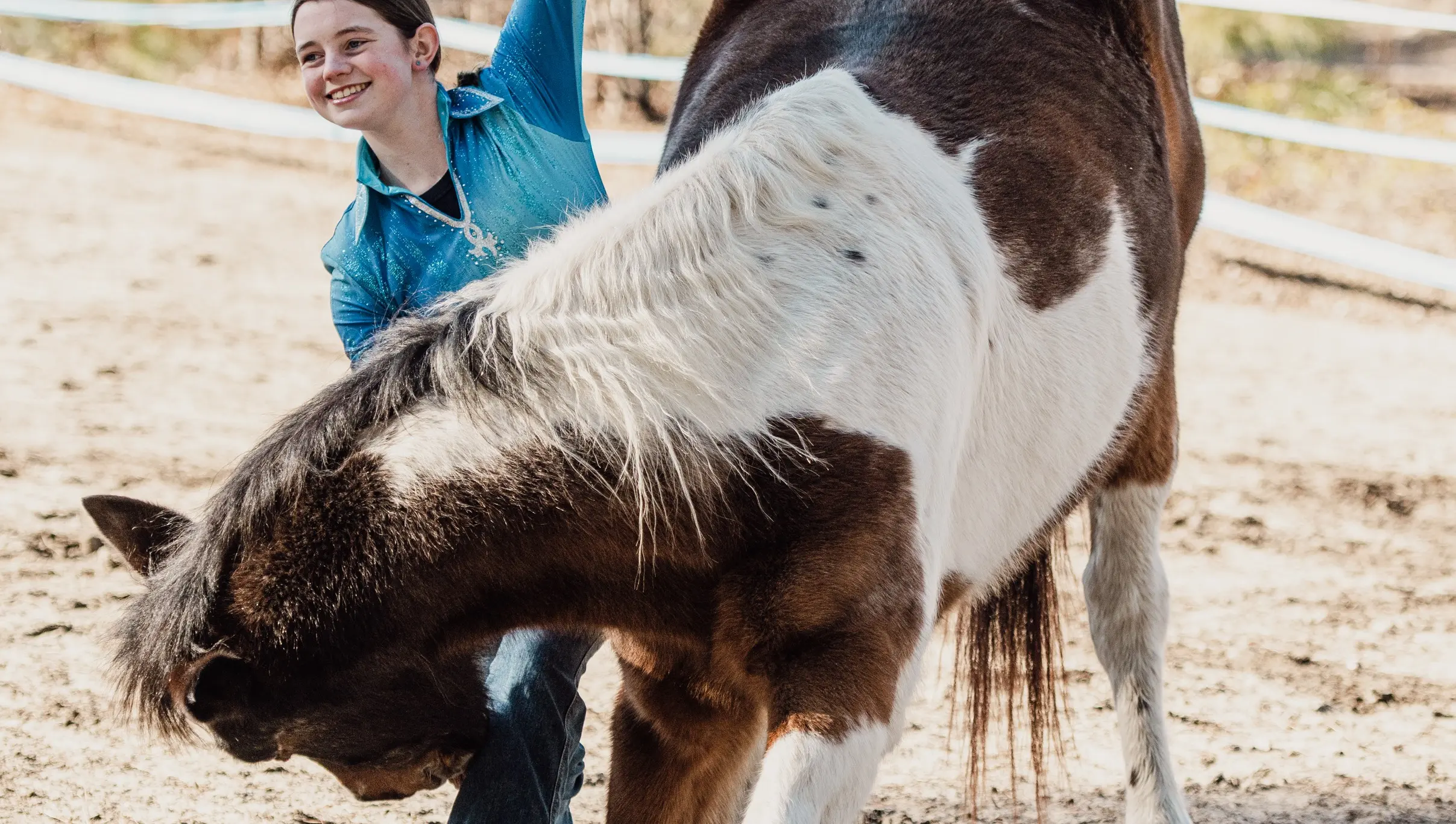Liberty Horsemanship