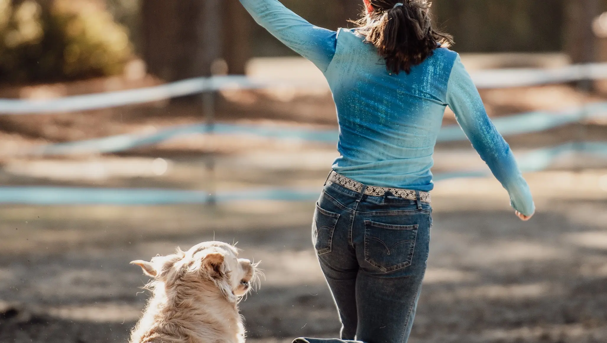 Dog Tricks & Agility