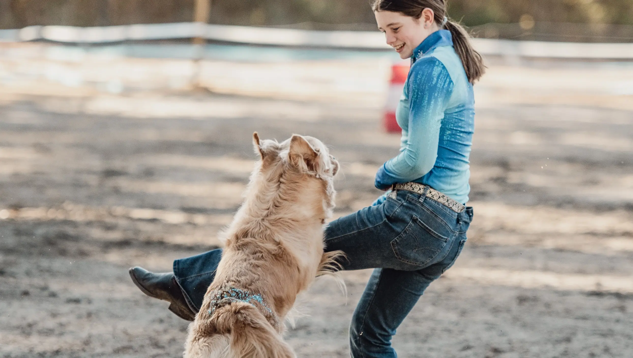 Dog Tricks & Agility