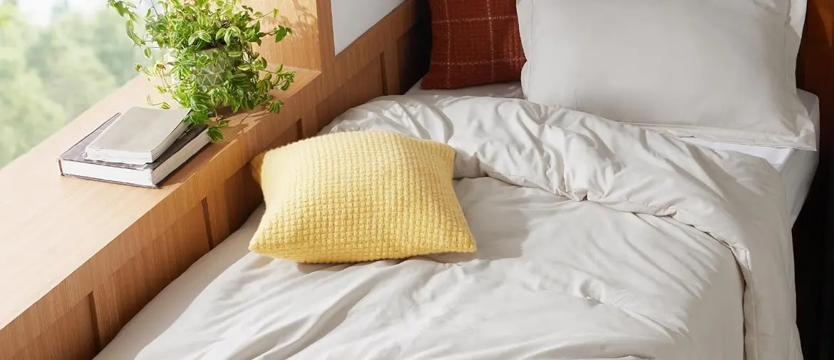 Comforter + Pillow