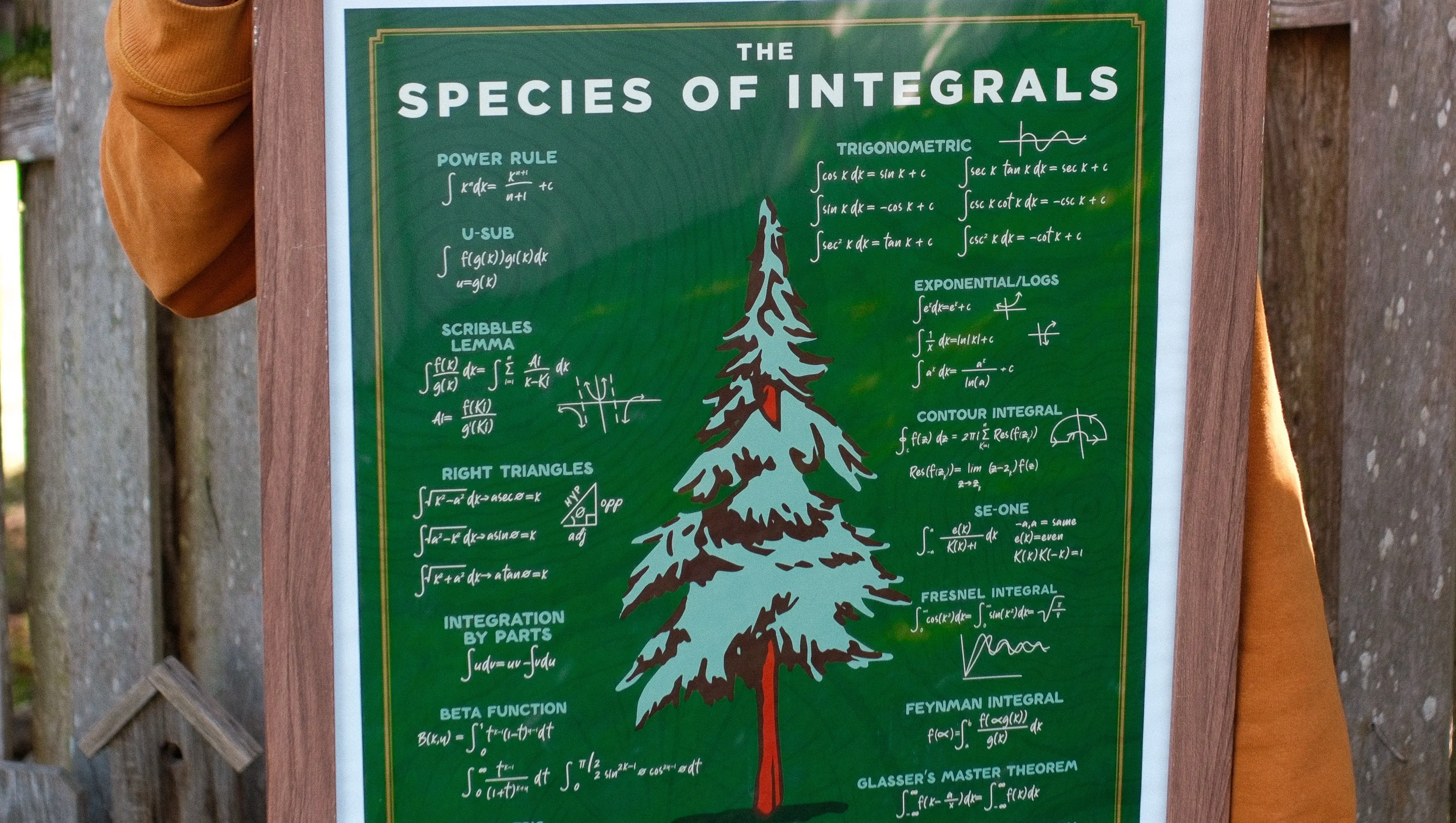 Show your love of integrals. Species of Integrals Poster