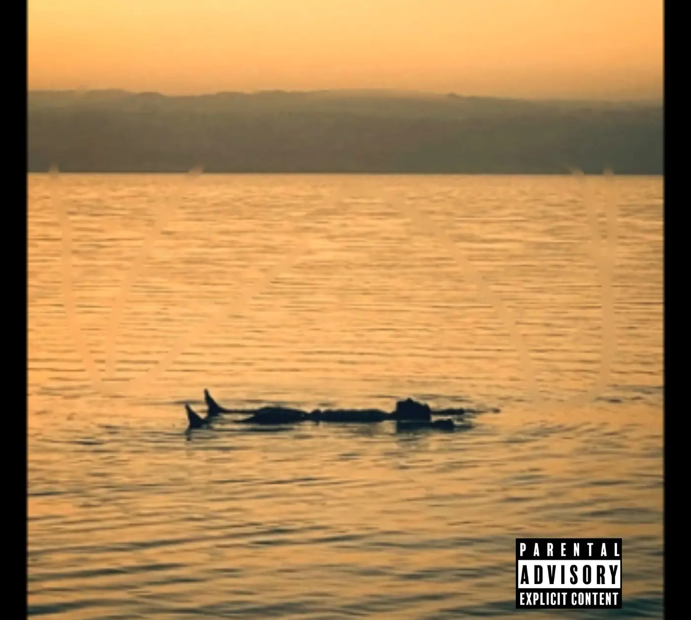SullyProductions. RIDE THE WAVE