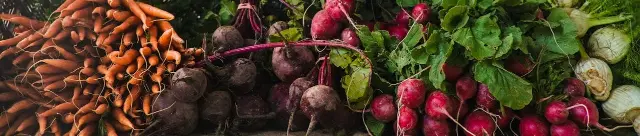 Nutrient Density. The Next Frontier in Human Health