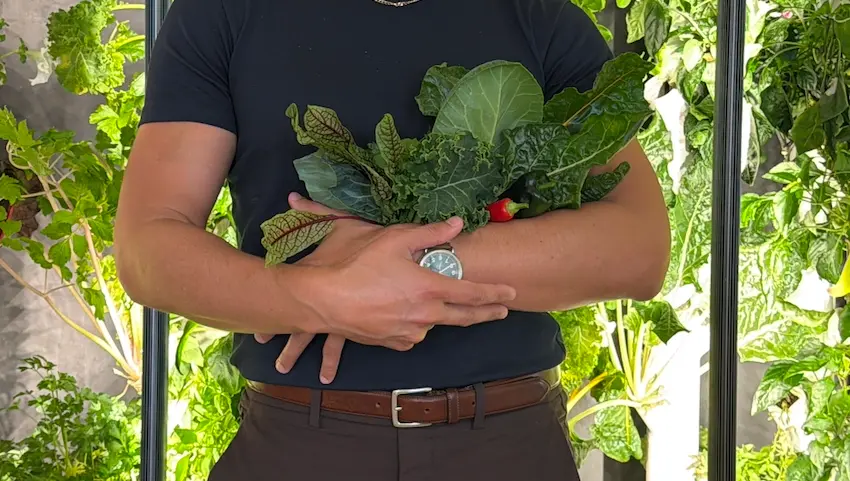 Use code "AJ" for 15% off. Gardyn Home: Grow Your Own Food!