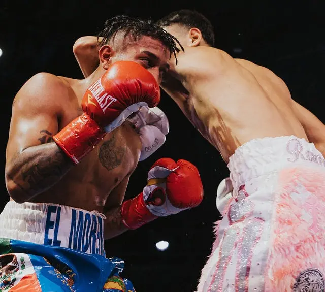 PORTFOLIO. PHOTOGRAPHY