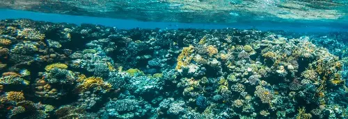 Teachers Pay Teachers. Ride the Wave!