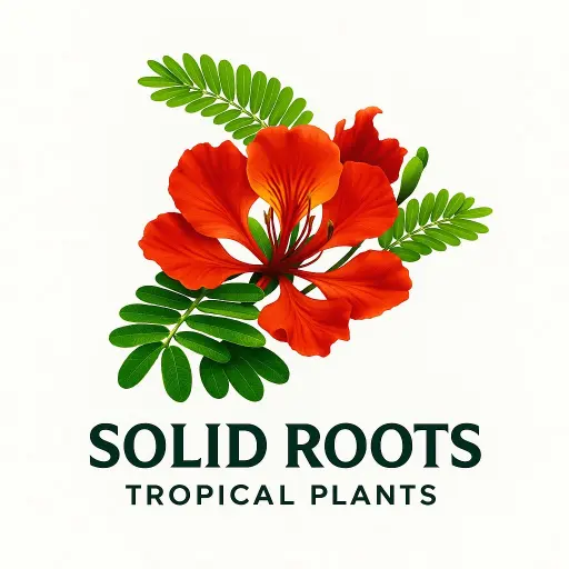 SolidRoots_TropicalPlants