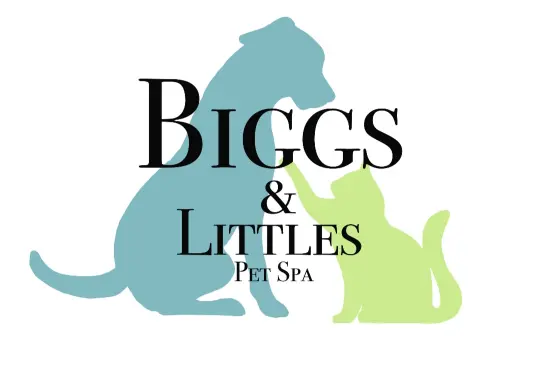 Biggs and Littles Pet Spa