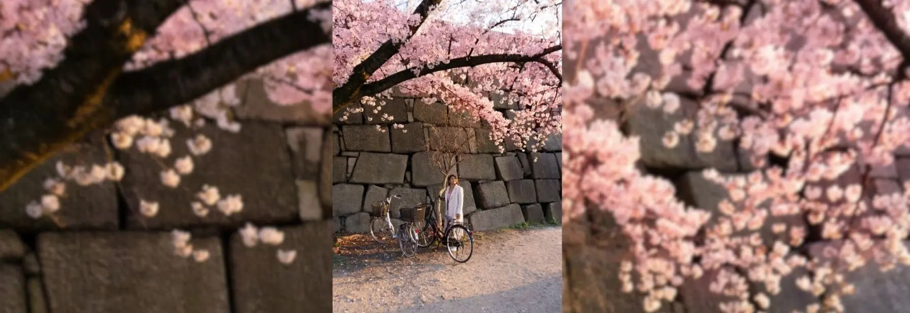 Become a GetYourGuide Creator. Travel & Earn