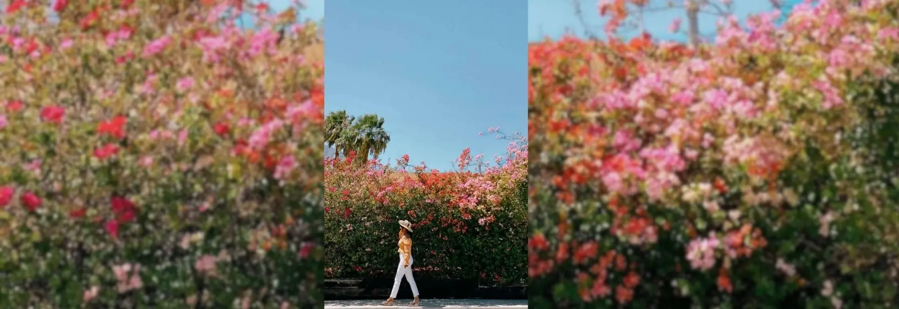 Get Paid To Travel. Quit Paying For Trips