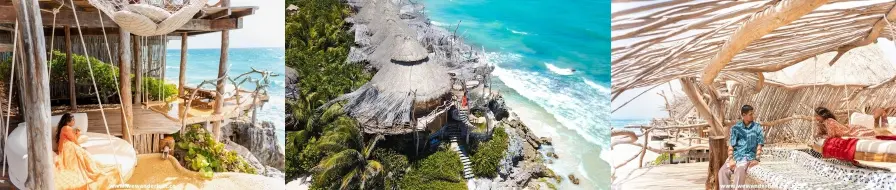 Freebies + Discounts. Join Our Newsletter