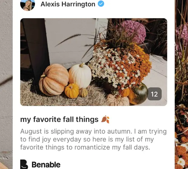 all things fall. Favorite Fall Things | Benable