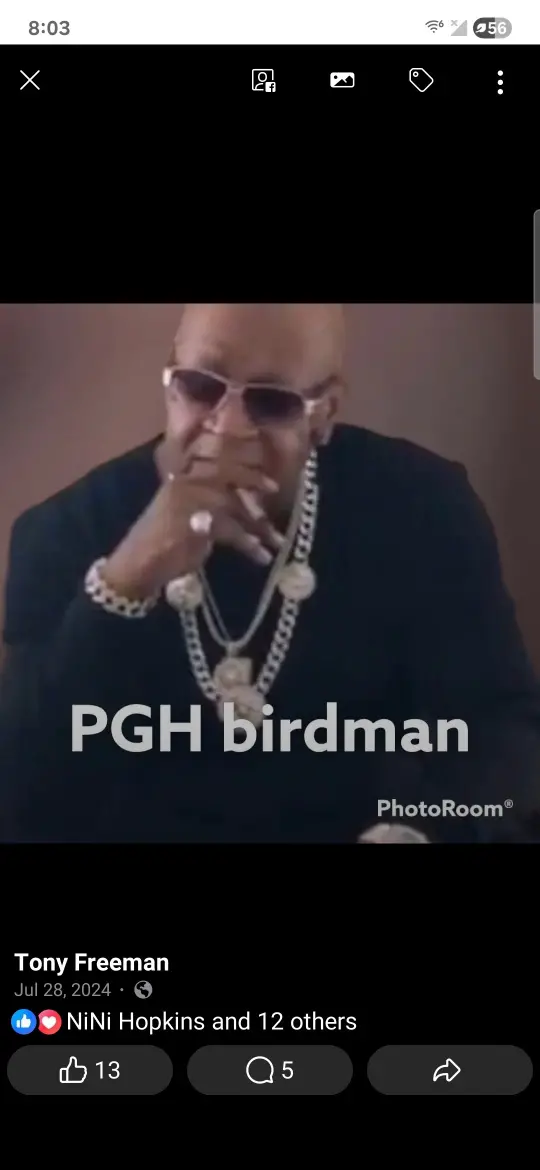 Pghbirdman