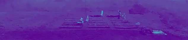 Garden. Agro Cyberpunk