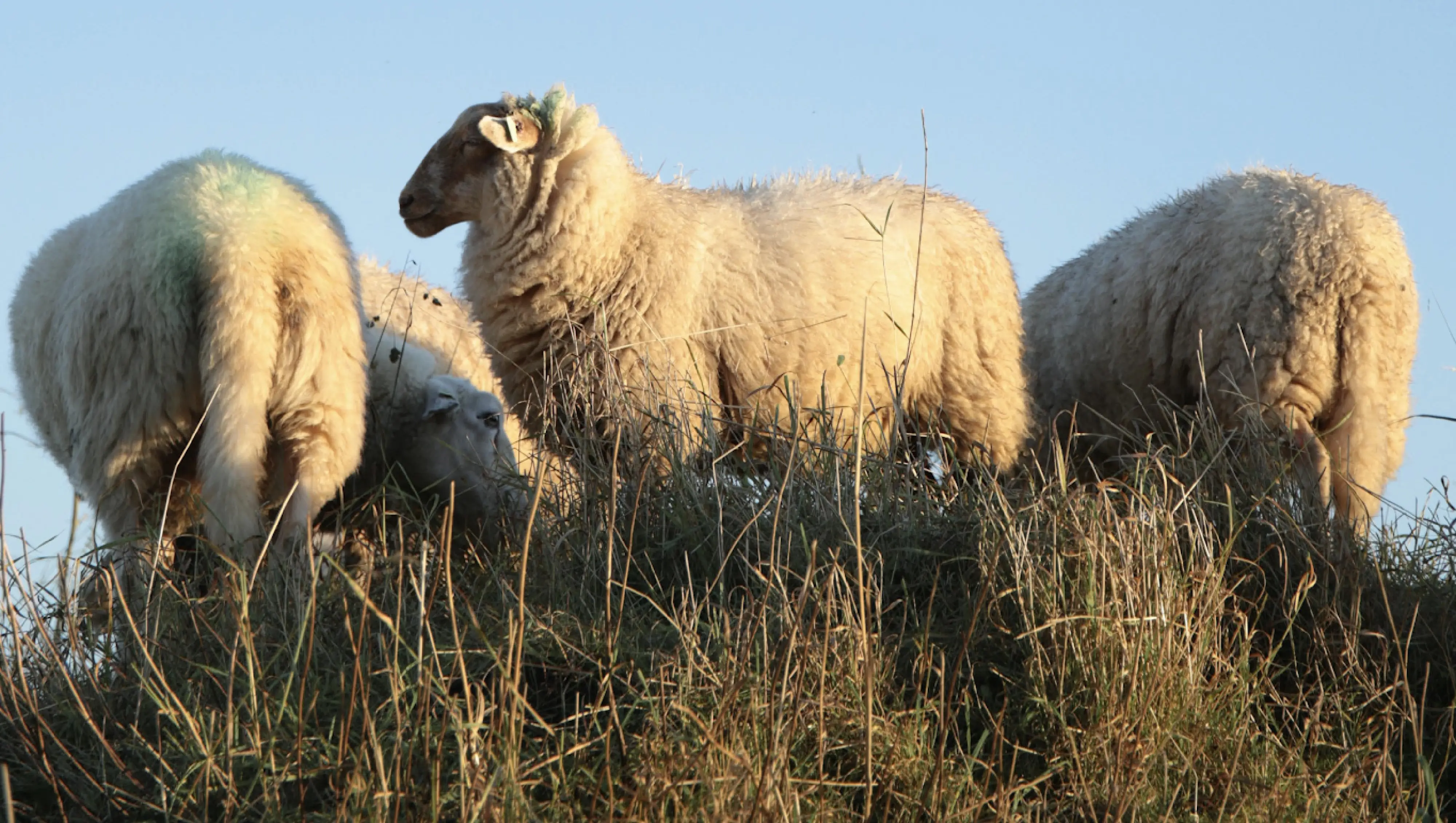 Silent Retreat. March 4-8