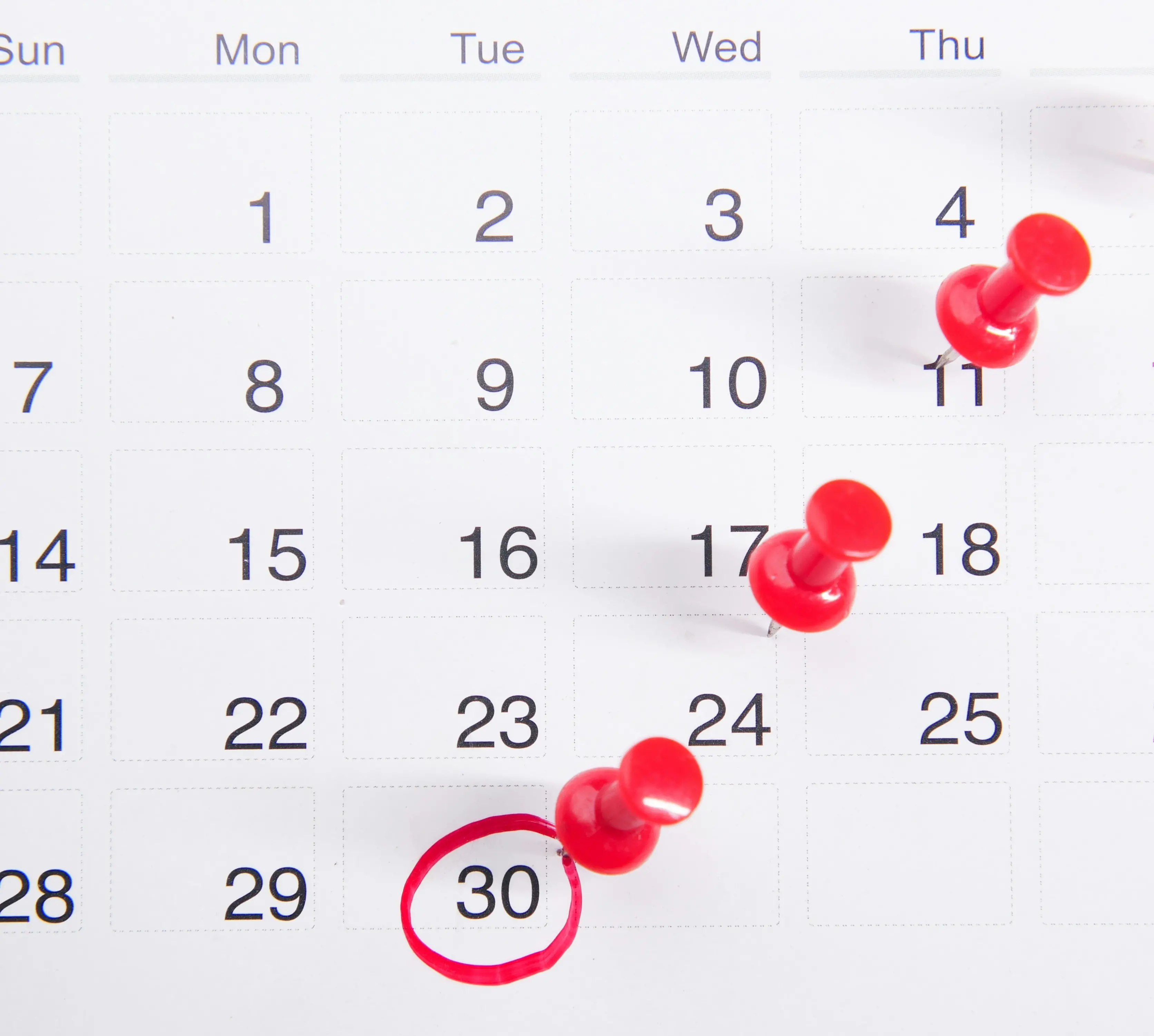 Annual Dates. Fellows Calendar and Round Table