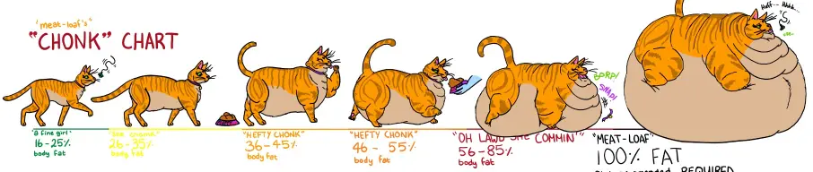 Portly Pets. Feral images