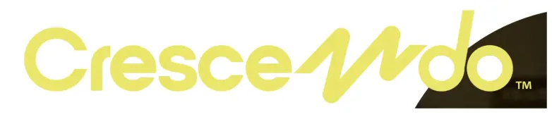 WeAid Music's Crescendo. A program for the community