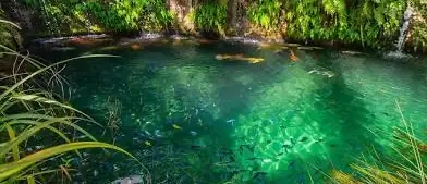 Patch of Heaven sanctuary