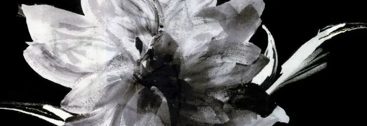 ︵︵︵ ˗ˋ ୨୧ ˊ˗ ︵︵︵. :3