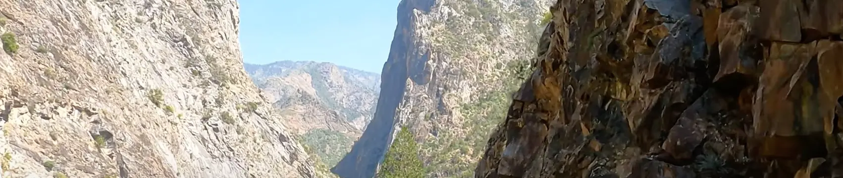 Journal of Misadventure. Sunny, with Curves