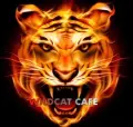 Wildcat Cafe Links