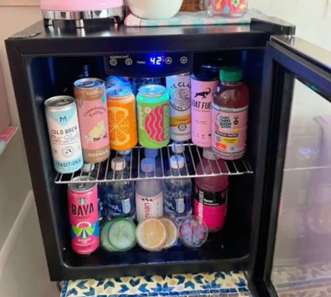 Mini Fridge