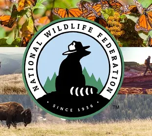 NWF donation link. Support NWF