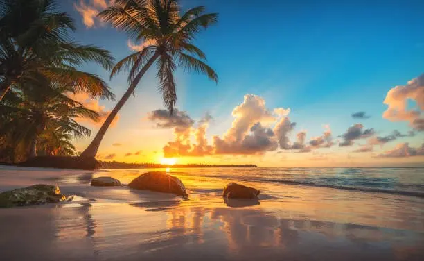 New Video:. God of Fire vs Mango Ice — The Truth