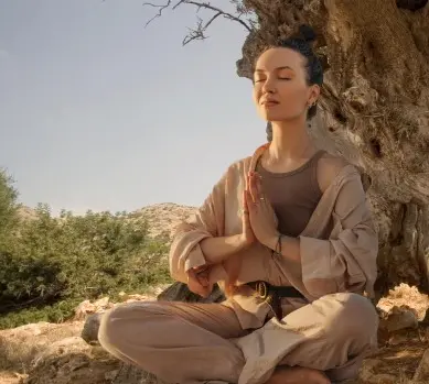 Olive Tree People. OLIVE