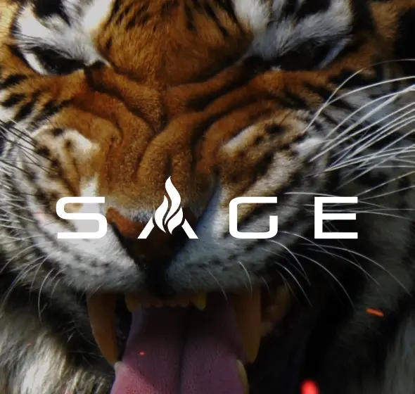 Sage X Entertainment