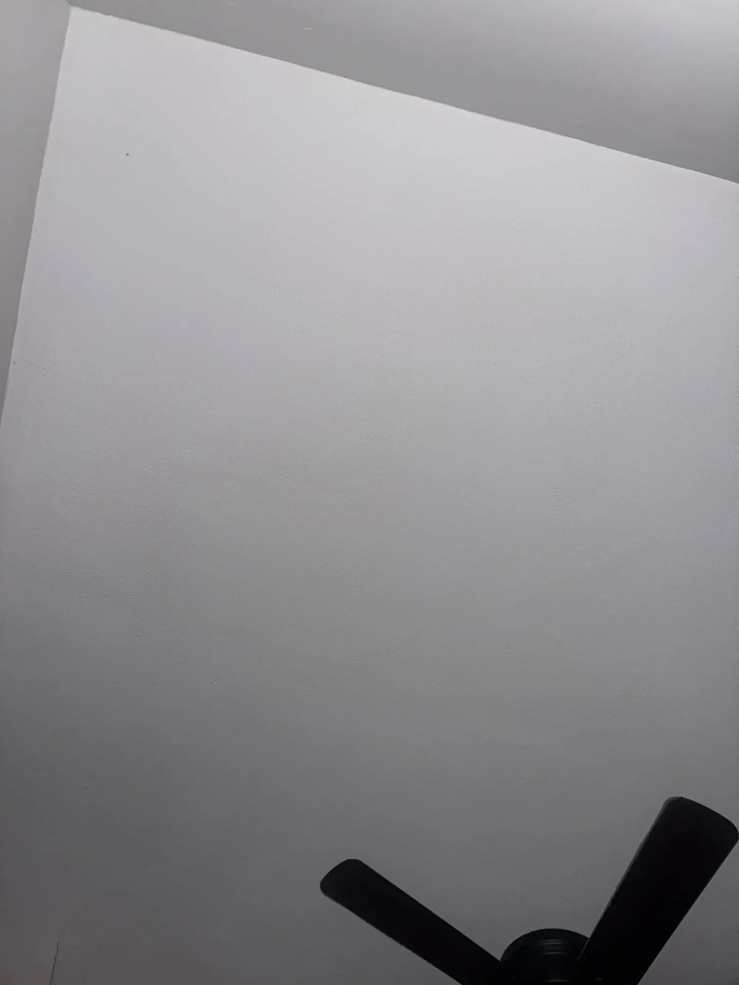 Aa