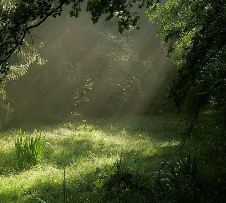 DYU SnugMug Page. Click the link!