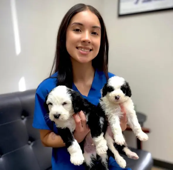 Jhorgelly Zarco Prieto