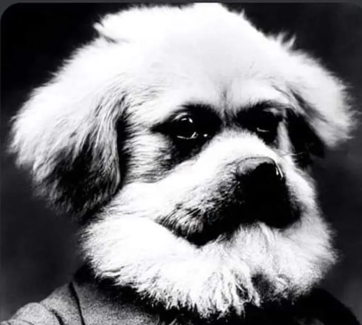 Countermeasures to the Capitalist Threat