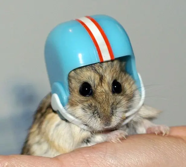 Pennyloaf’s Netherworldly Nuncheon