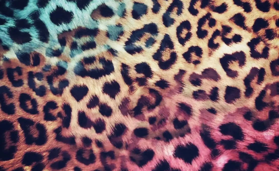 🖤. Don’t worry about what other’s think, they ain’t shit.