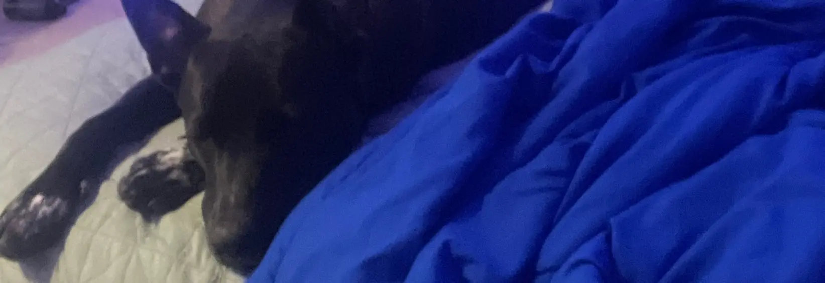 Bring your brand to life. Highlight your story