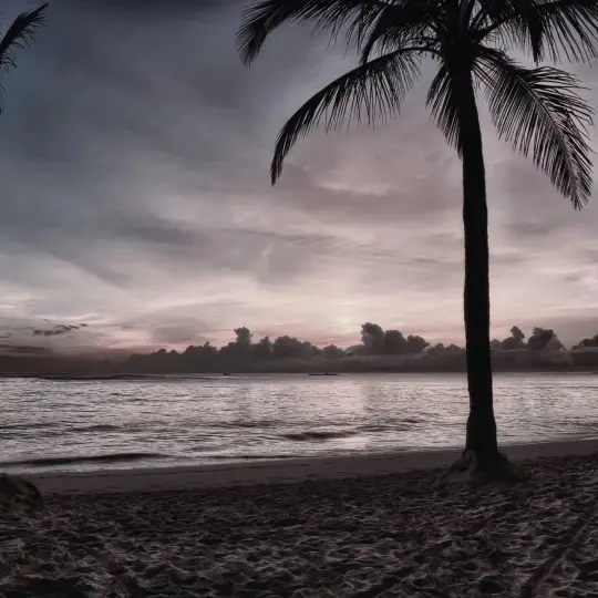 EUPHONIC EXPRESSIONS