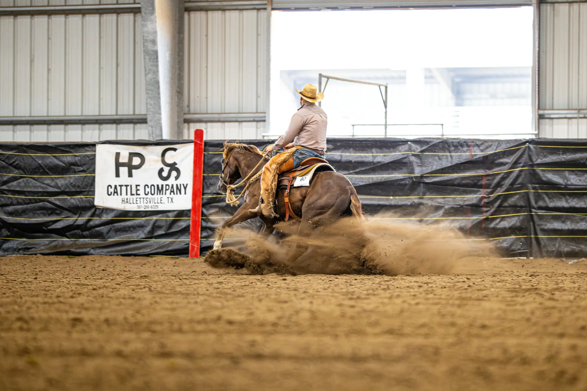 Wes Weber Performance Horses