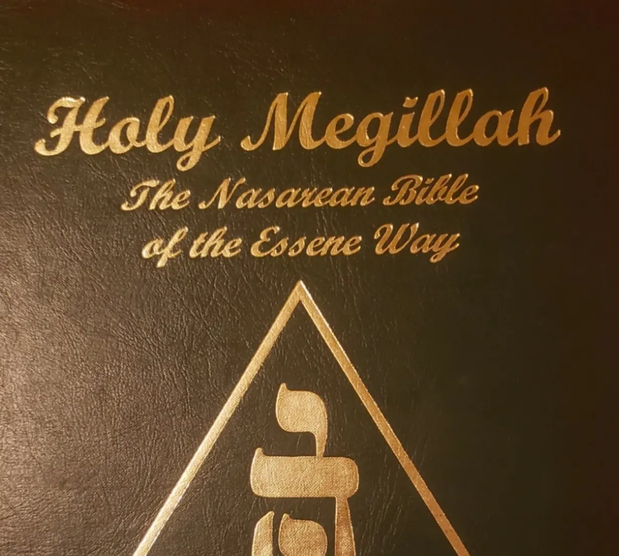 Genesis - Godspell 49. The Holy Megillah PDF