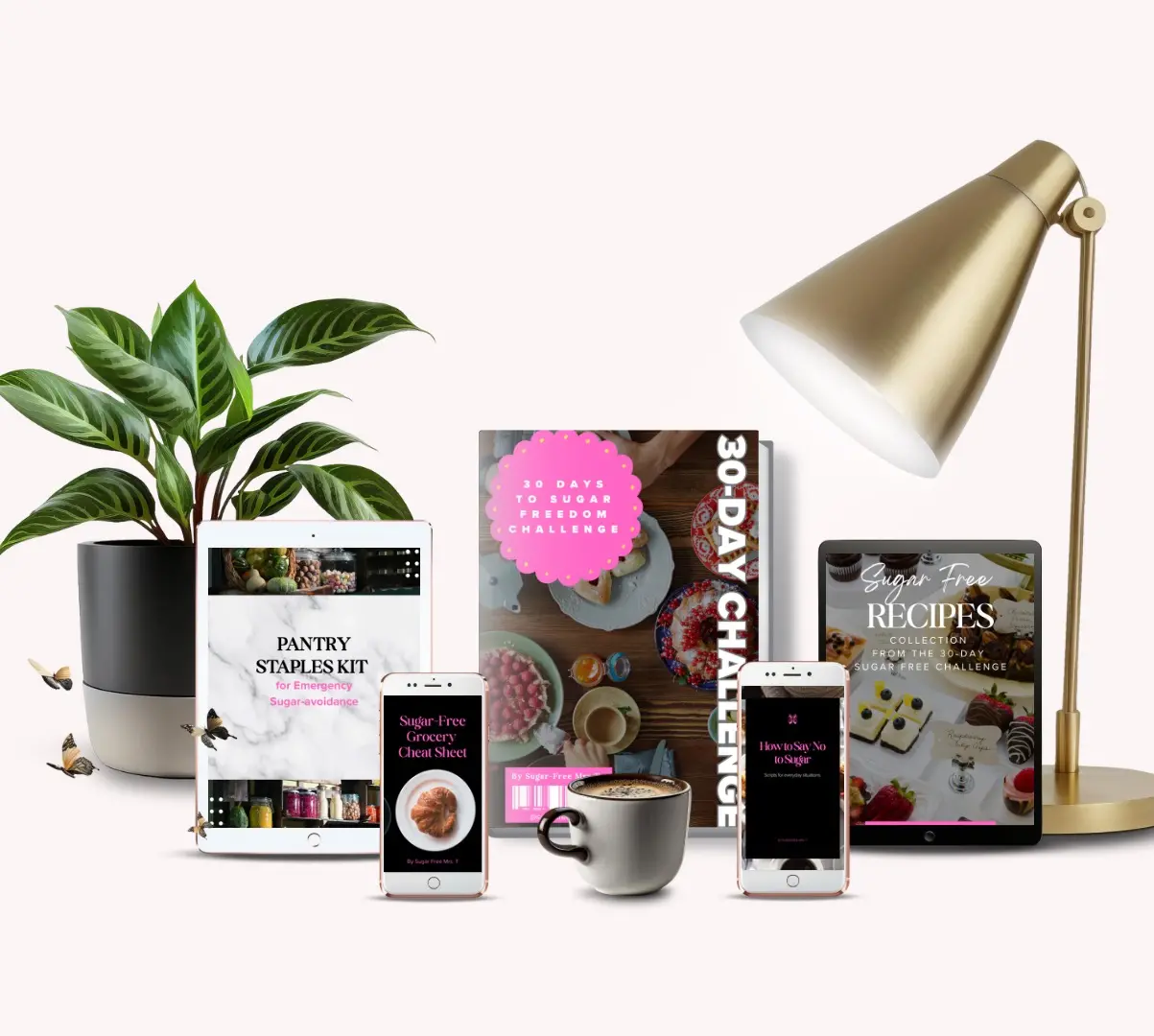 A 30 Day Challenge, $17. Want to break up with sugar?