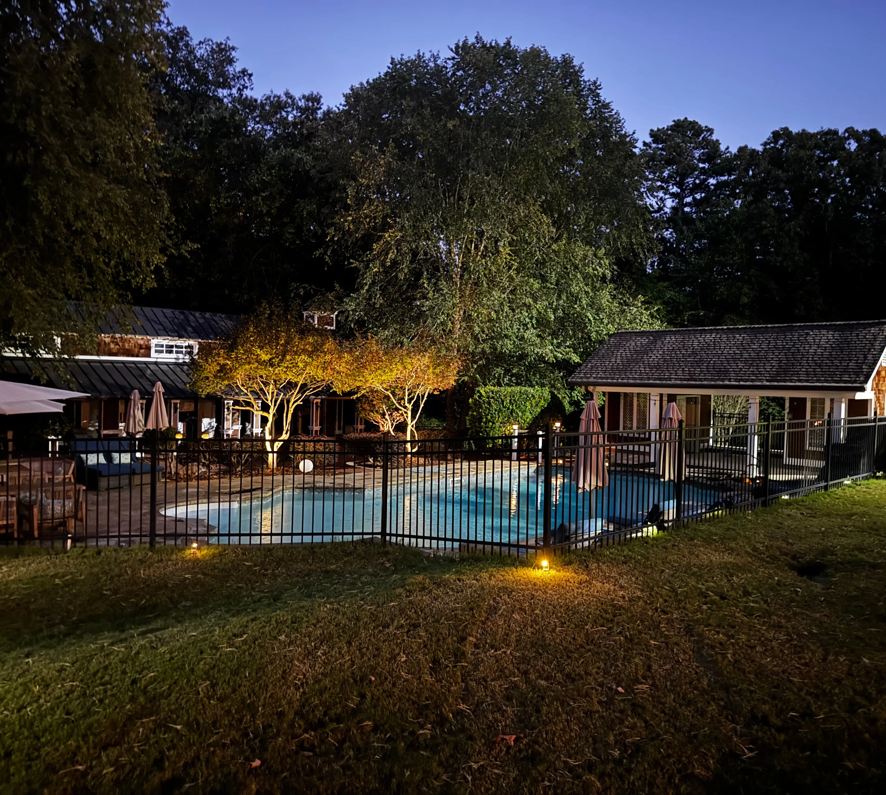 Pool days. Discover