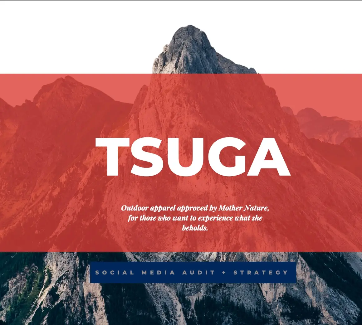 Tsuga Social Media Marketing Strategy