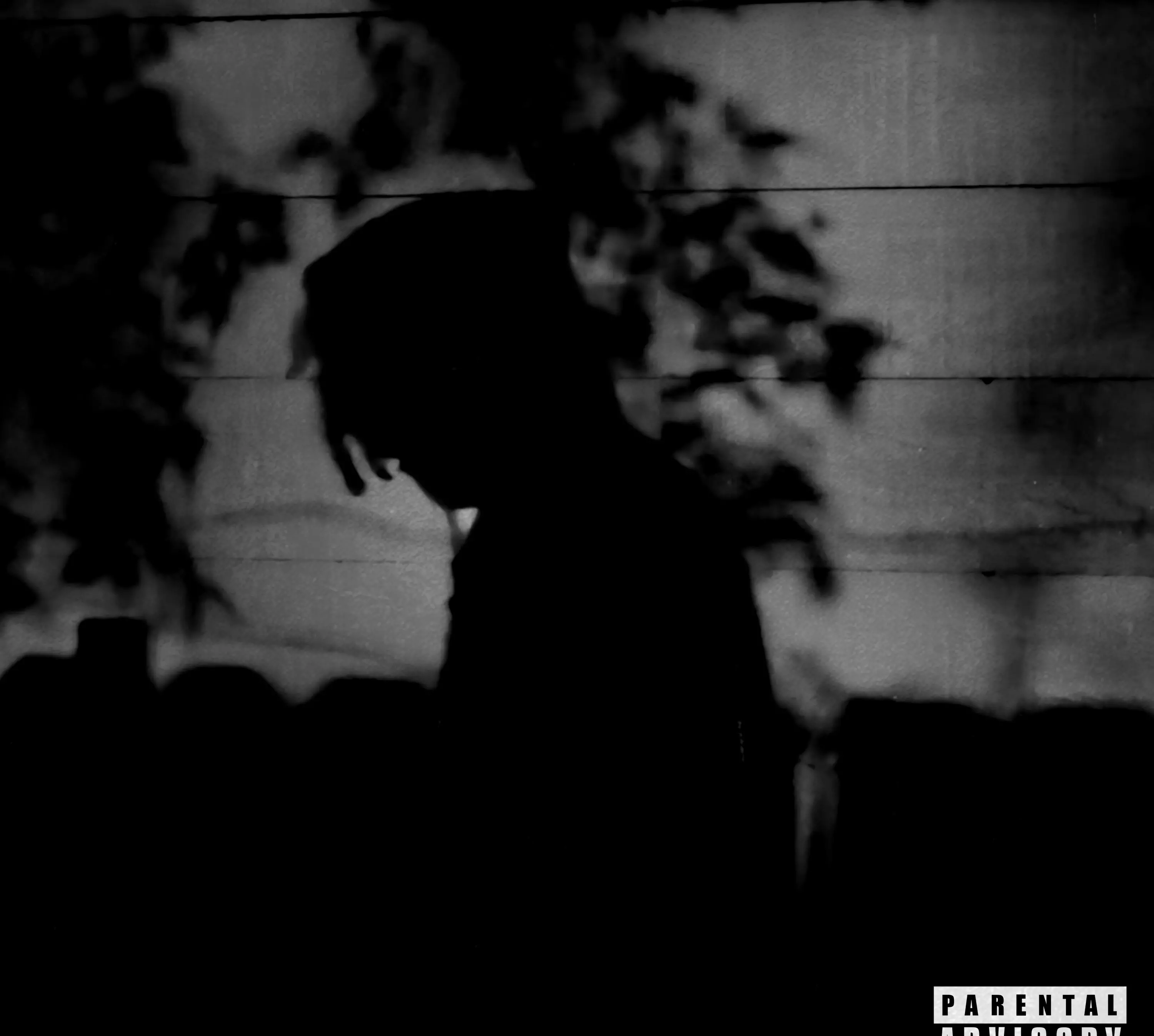 'they're coming for you' - Charwellz. Full EP