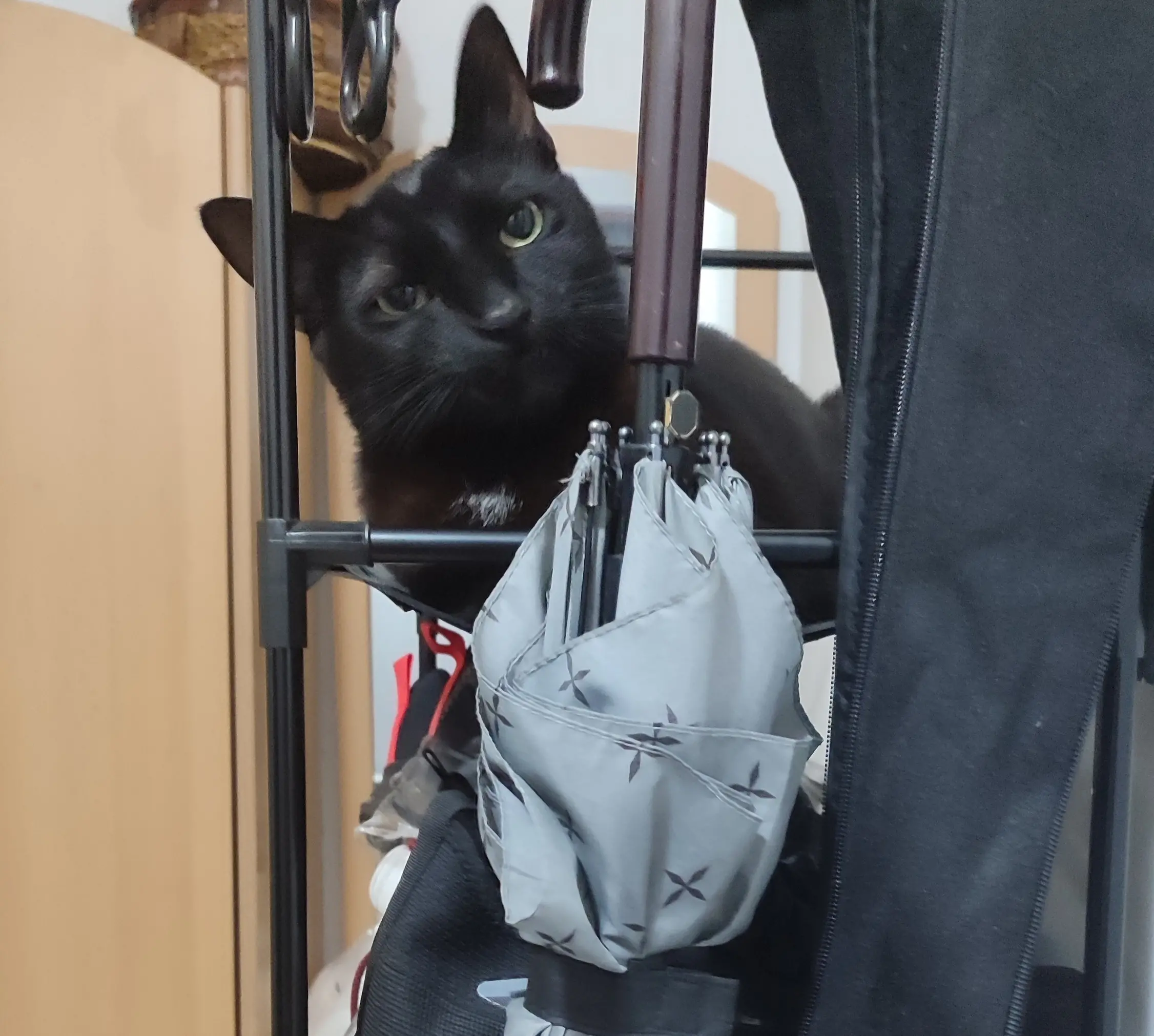 Miki