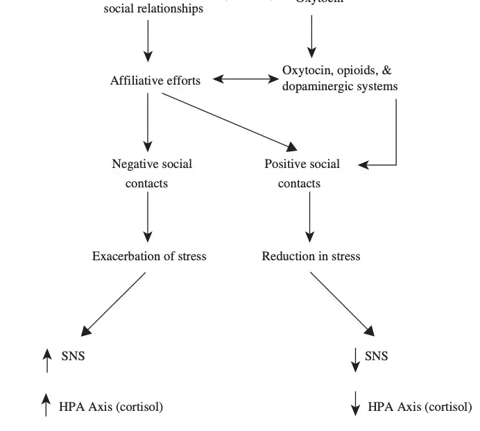 Bio Behavioral Responses. Article link