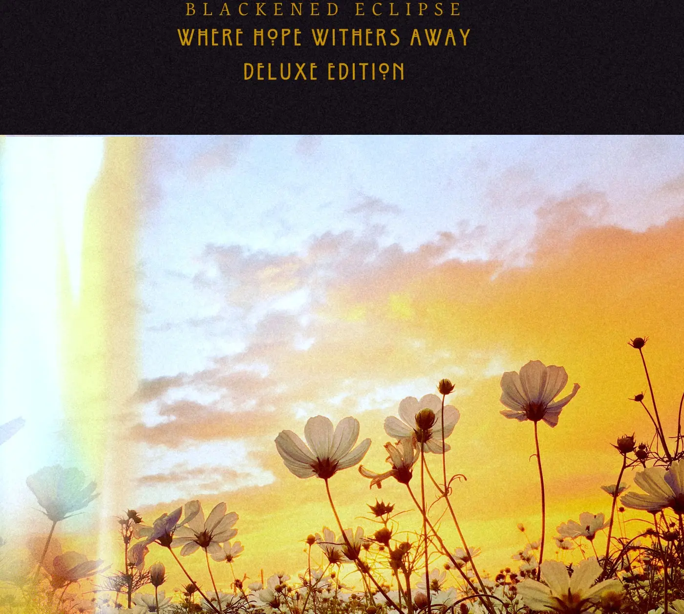 WHWA Deluxe Edition. Out Now