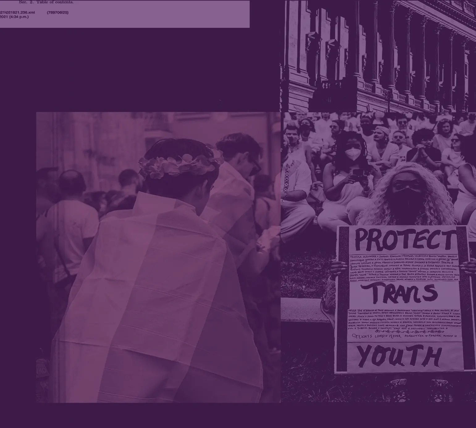 Anti Trans Legislation Tracker. Keep Informed