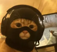 idmasked